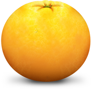 Orange Fruit Cutout